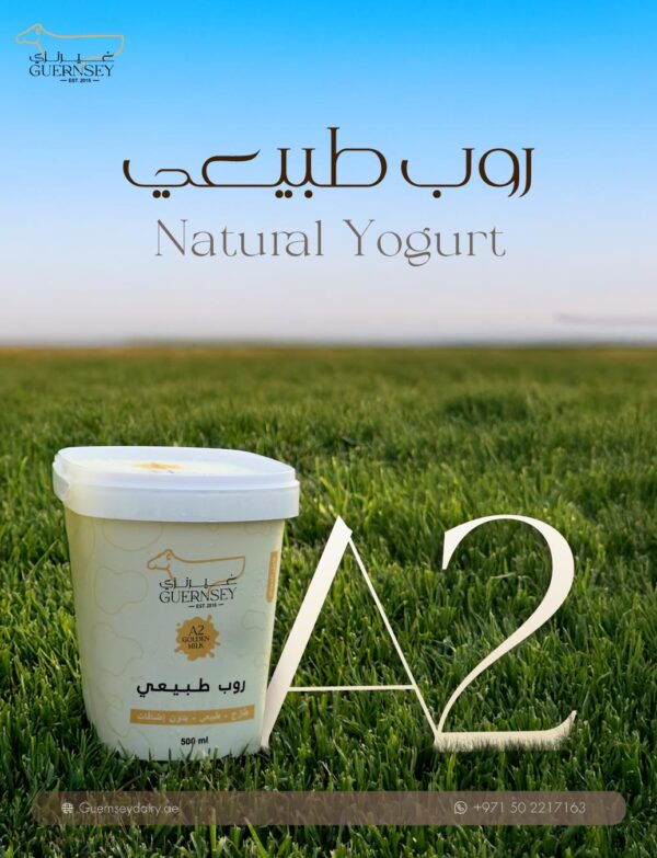 Products – Guernsey Dairy